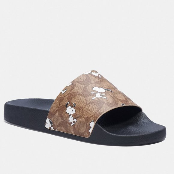 Coach X Peanuts Slide With Snoopy Print - Picture 1 of 10